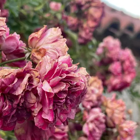 Luigi 3* Gjirokastër