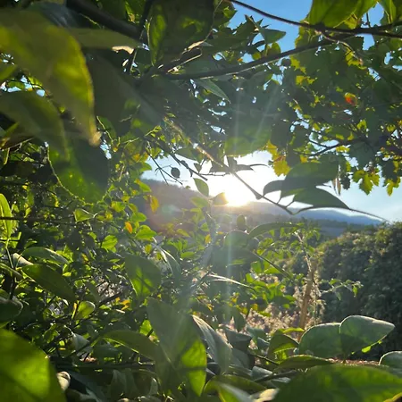 Luigi 3* Gjirokastër