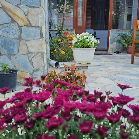 Luigi Guest house *