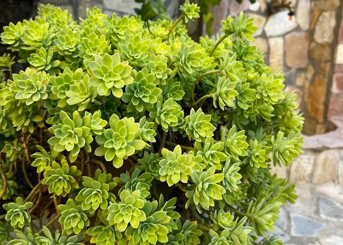 Luigi Гостевой дом 3*