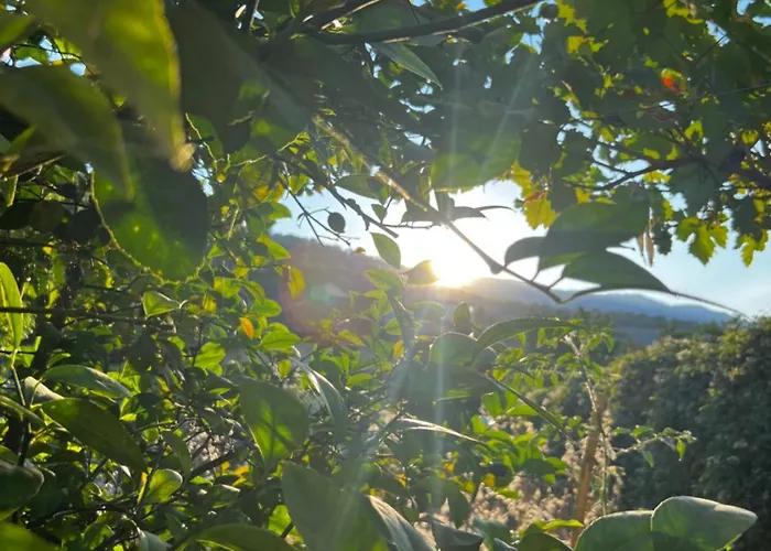 Luigi 3* Гирокастра